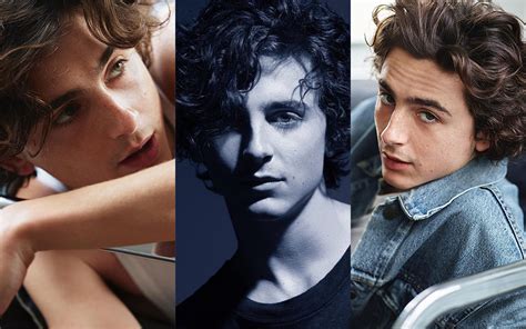 gq bleu de chanel|Timothée Chalamet (finally!) unveils that long.